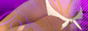  �A�_���g�O�b�c�������I�o�C�u�E�o�C�u���[�^�[�����